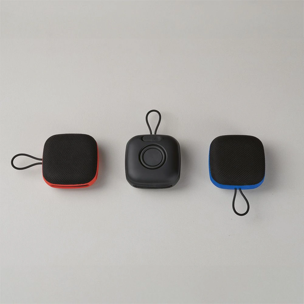 Da Vinci 2600 mAh-högtalare
