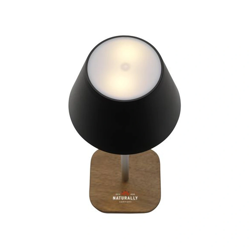 Wooosh RCS Luzia Bordslampa brun/svart