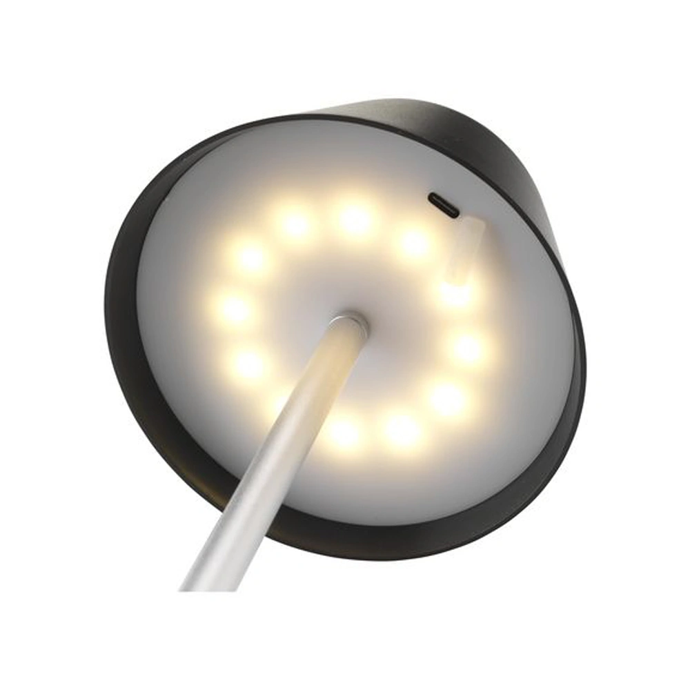 Wooosh RCS Luzia Bordslampa brun/svart